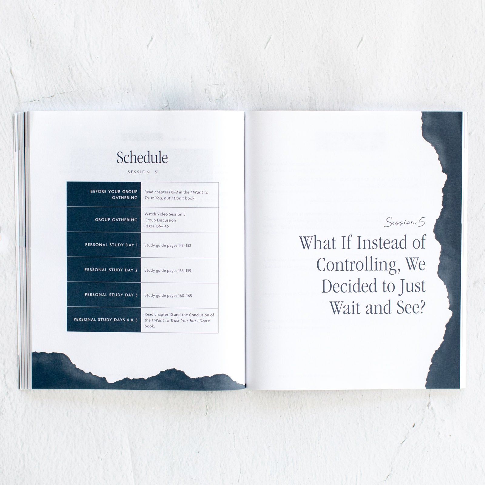 I Want to Trust You, but I Don't Study Guide with Streaming Video Access