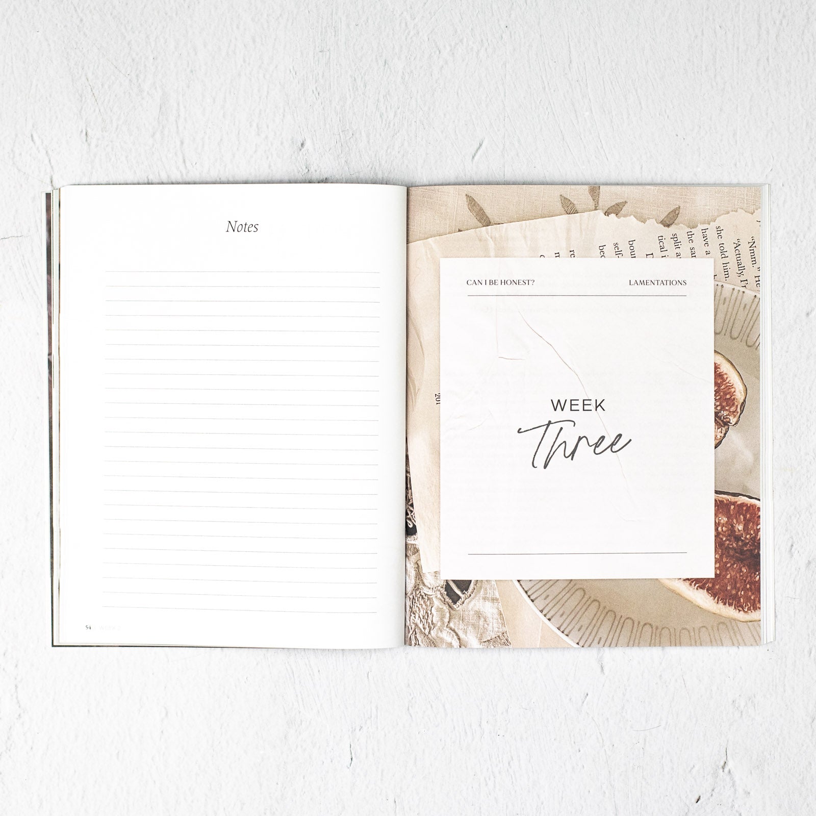 Can I Be Honest? A Study of the Book of Lamentations