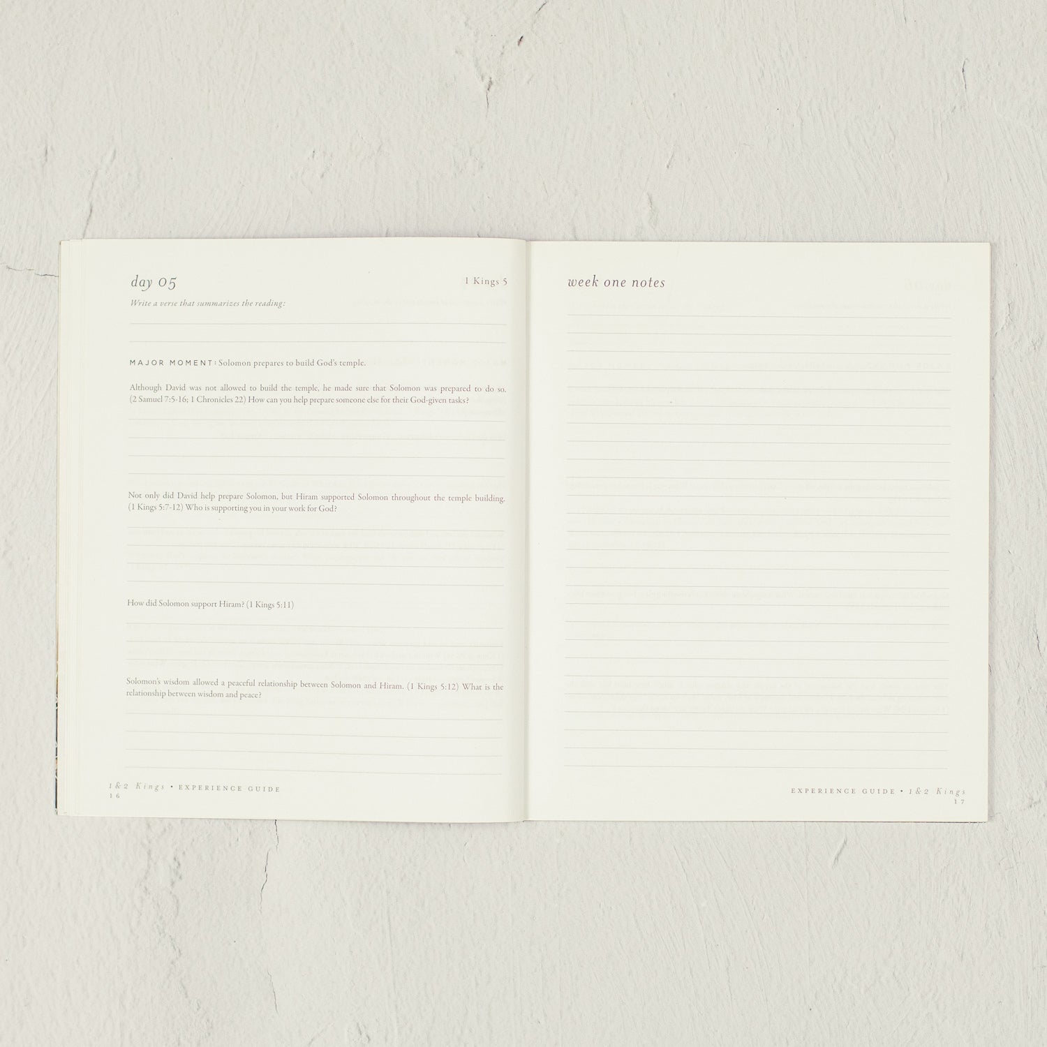 The Books of 1 & 2 Kings Experience Guide