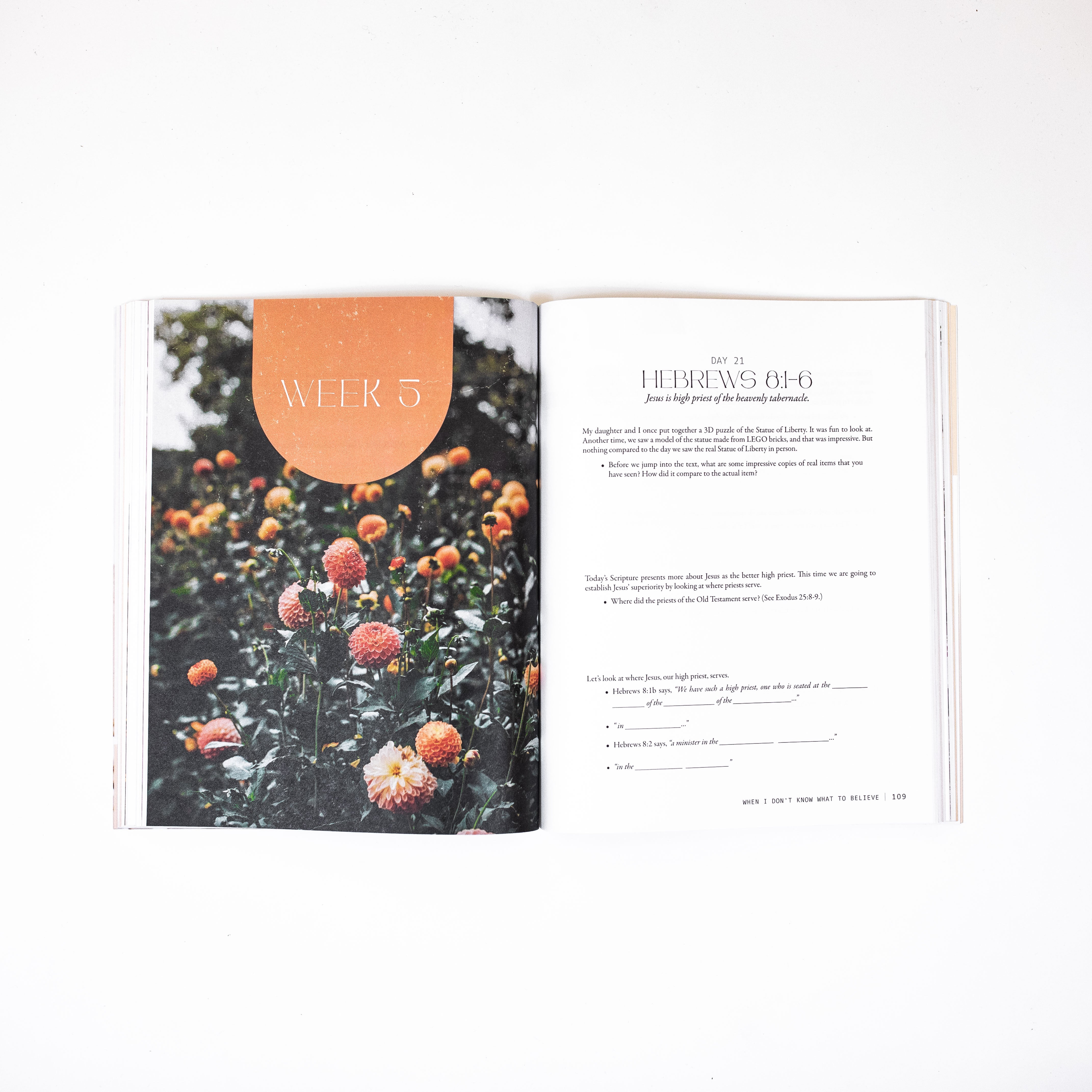 When I Don't Know What To Believe: A Study of the Book of Hebrews