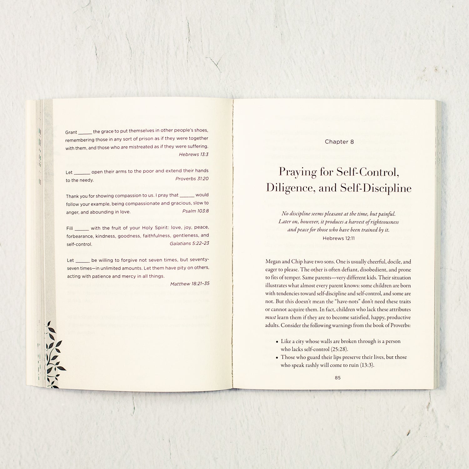 Praying the Scriptures for Your Children