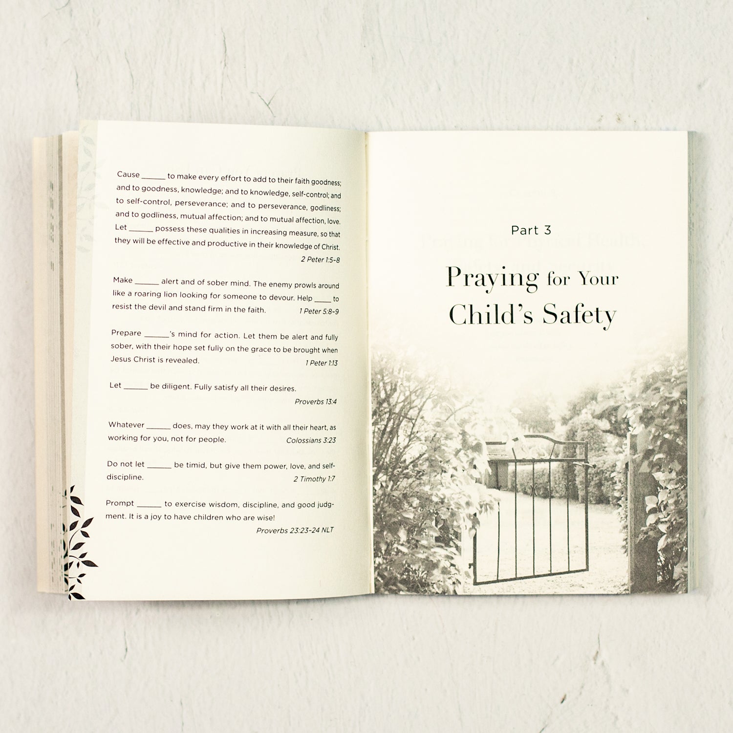 Praying the Scriptures for Your Children