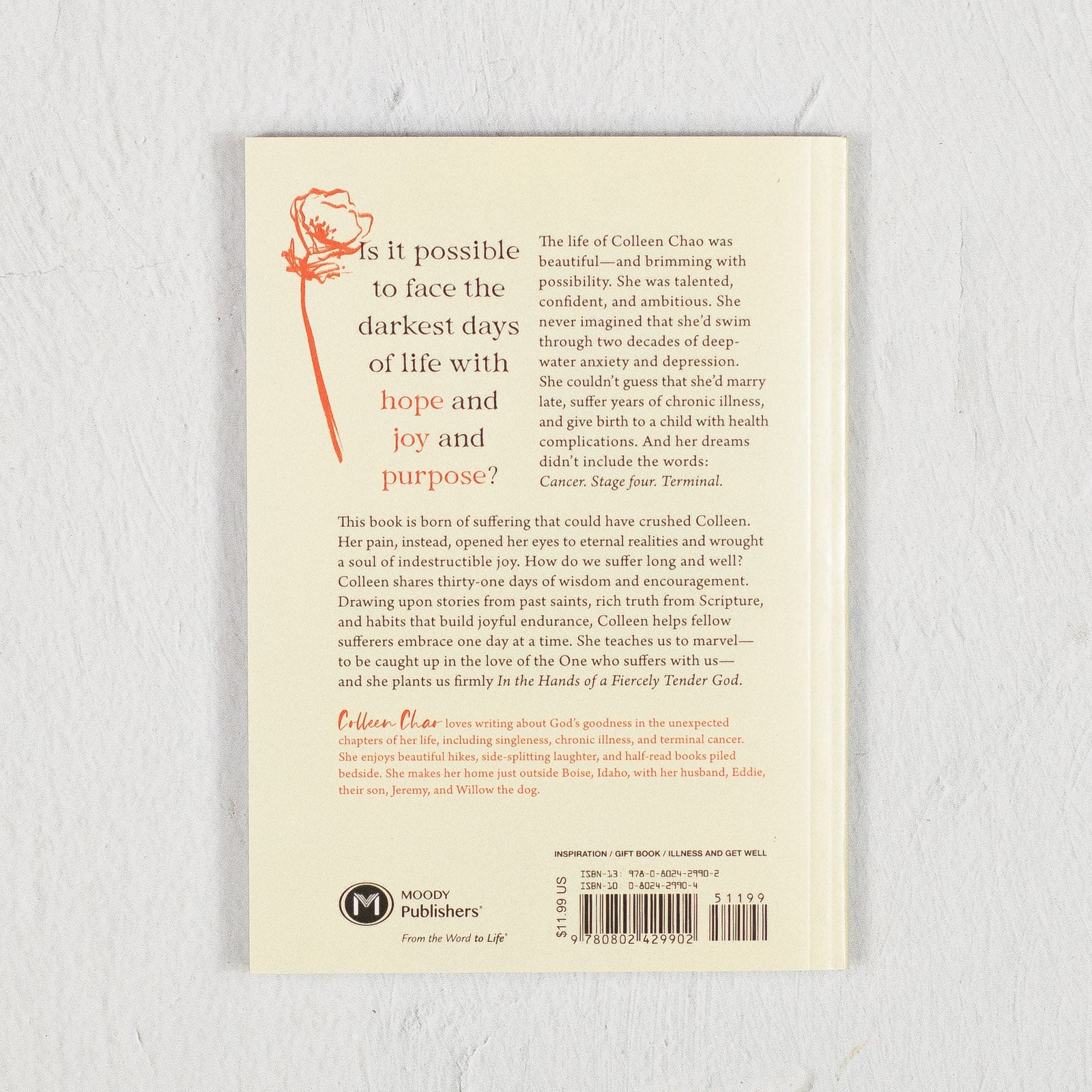 In the Hands of a Fiercely Tender God