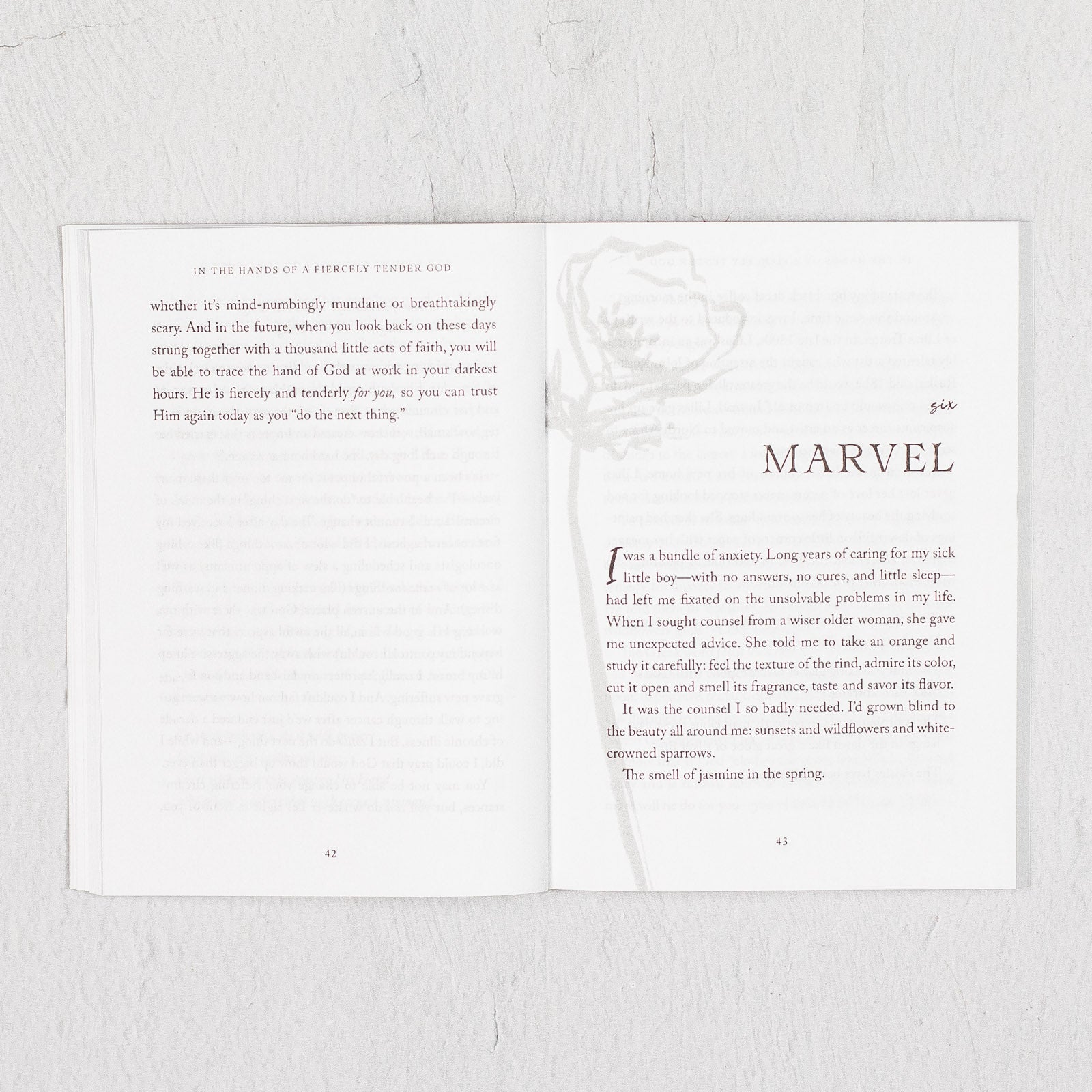 In the Hands of a Fiercely Tender God