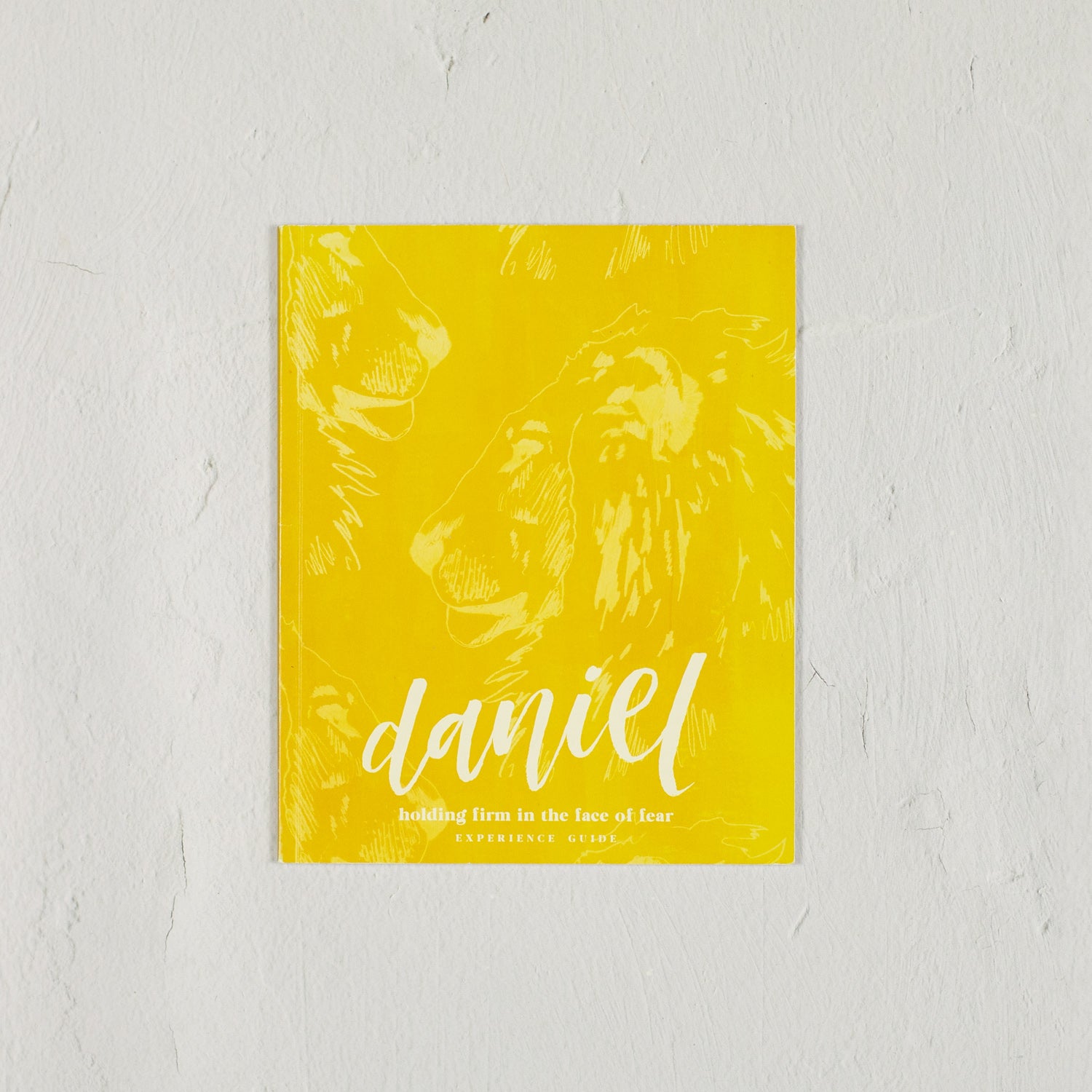 Daniel: Holding Firm in the Face of Fear Experience Guide