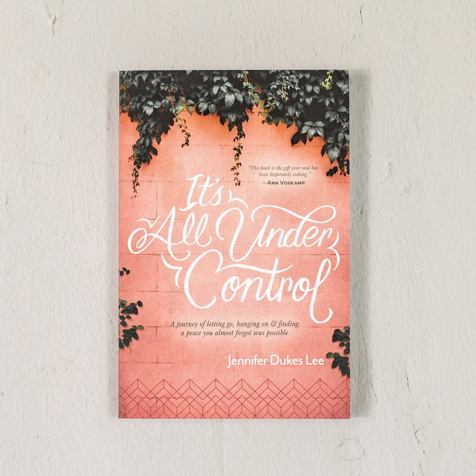 It's All Under Control: A Journey of Letting Go, Hanging On, and Finding a Peace You Almost Forgot Was Possible