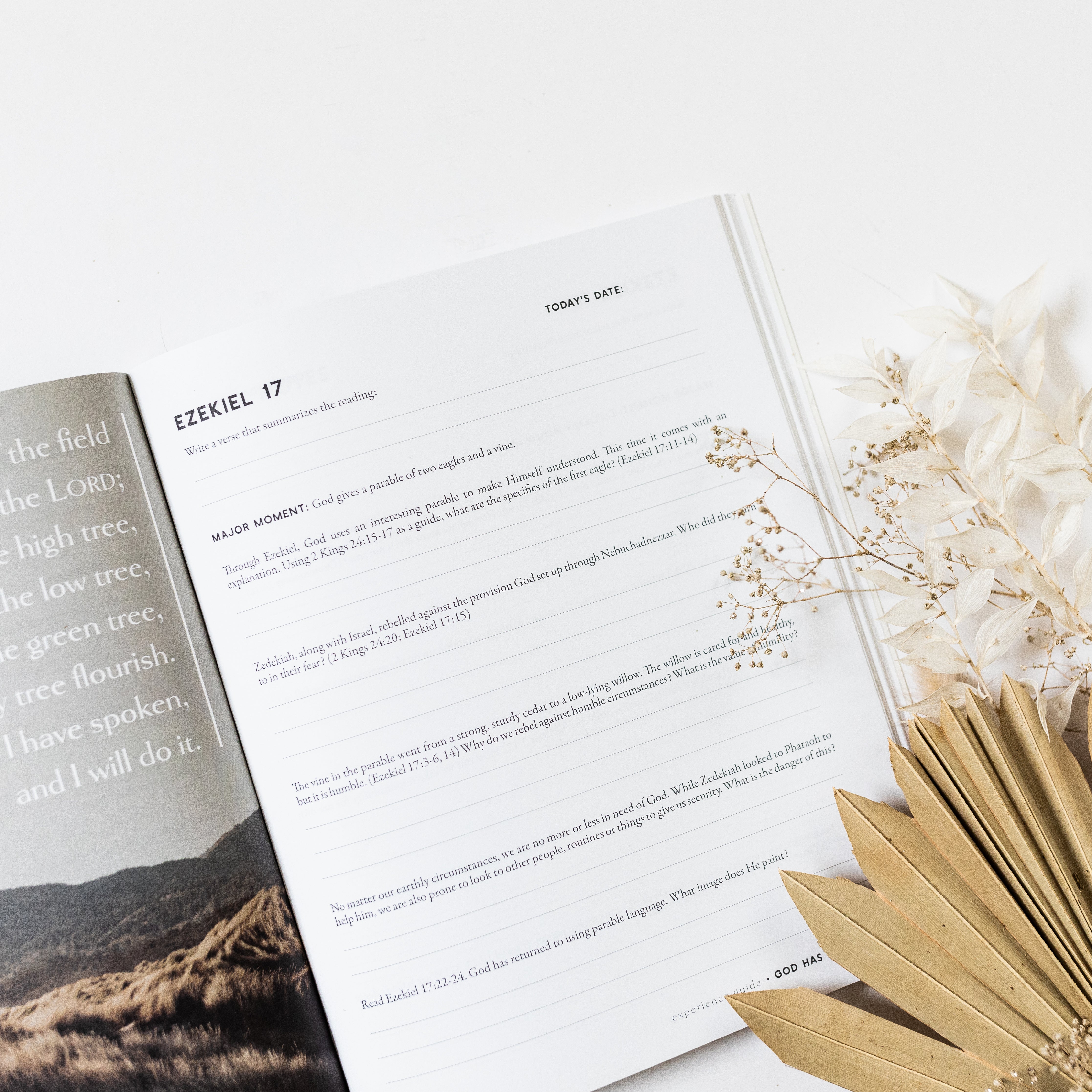 The God Has Not Forgotten Experience Guide