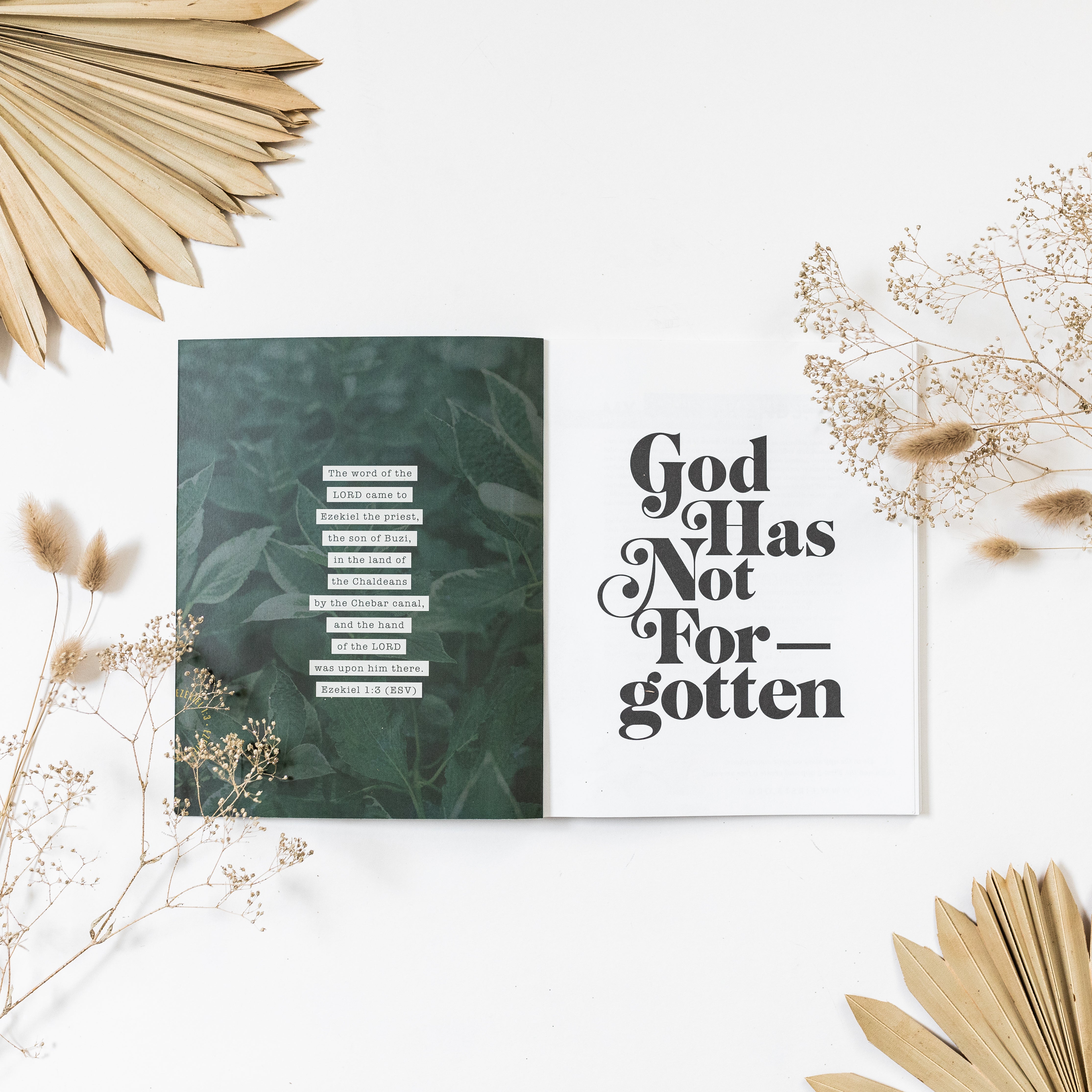 The God Has Not Forgotten Experience Guide