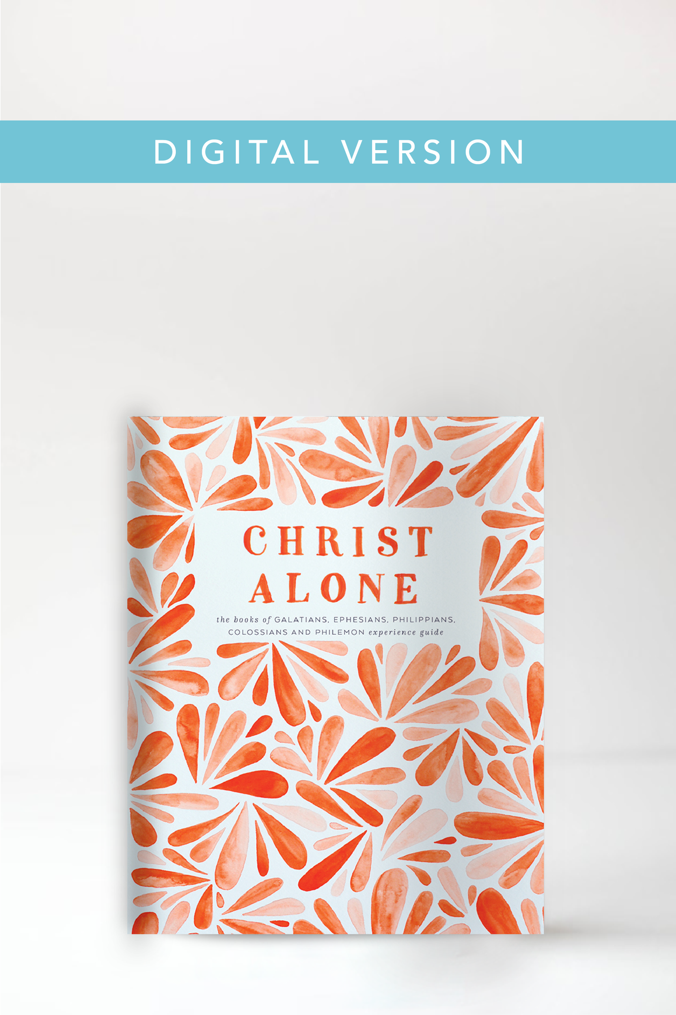 Christ Alone Experience Guide (Digital Version)