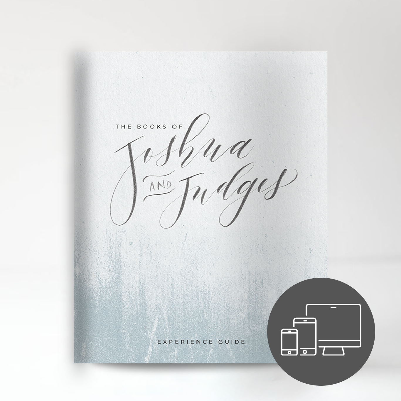 The Books of Joshua & Judges Experience Guide (Digital Version)