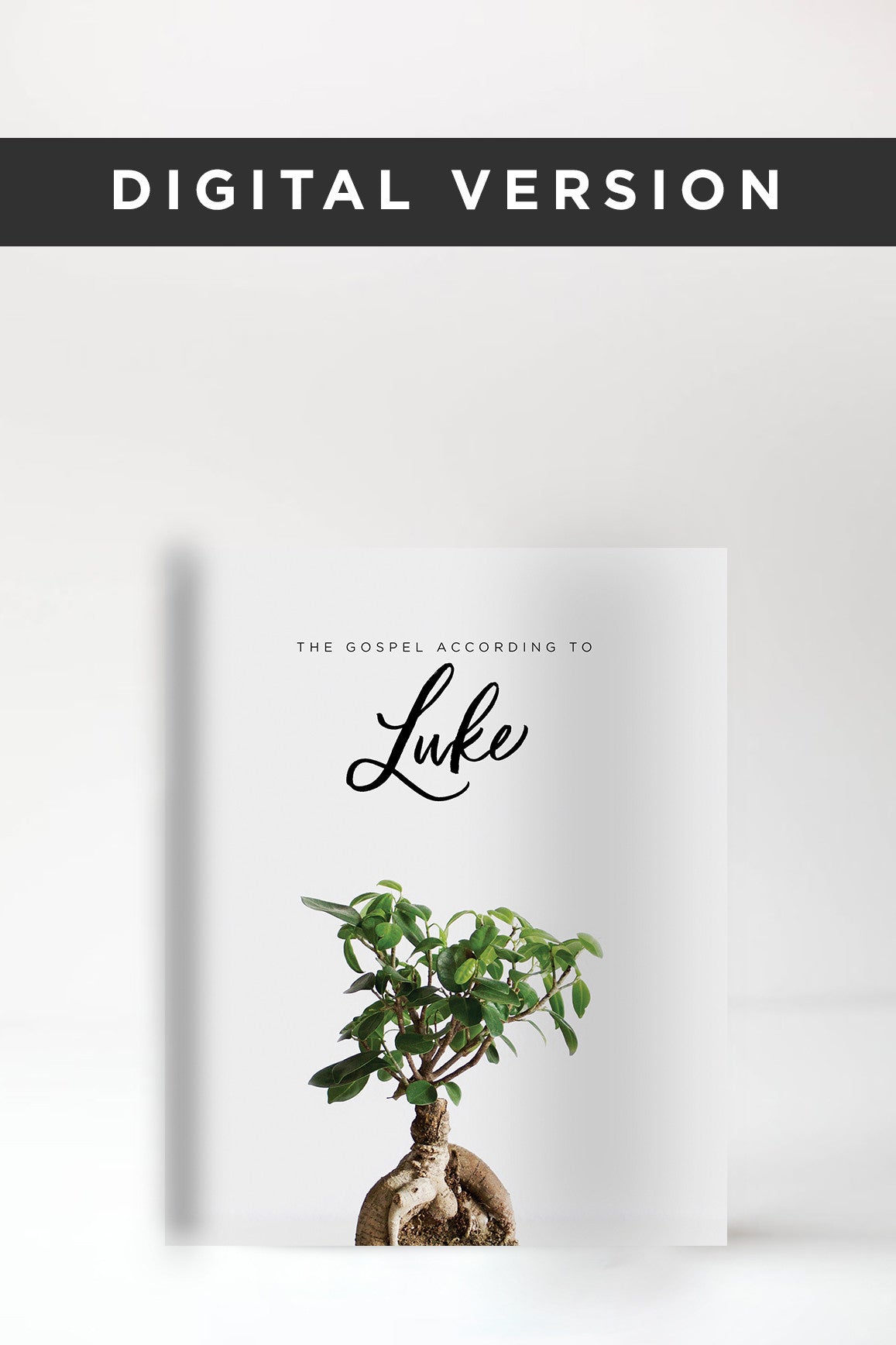 The Gospel of Luke Experience Guide (DIGITAL VERSION)
