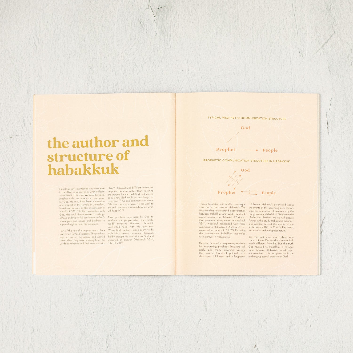 Not According to Plan: A Habakkuk Study Guide