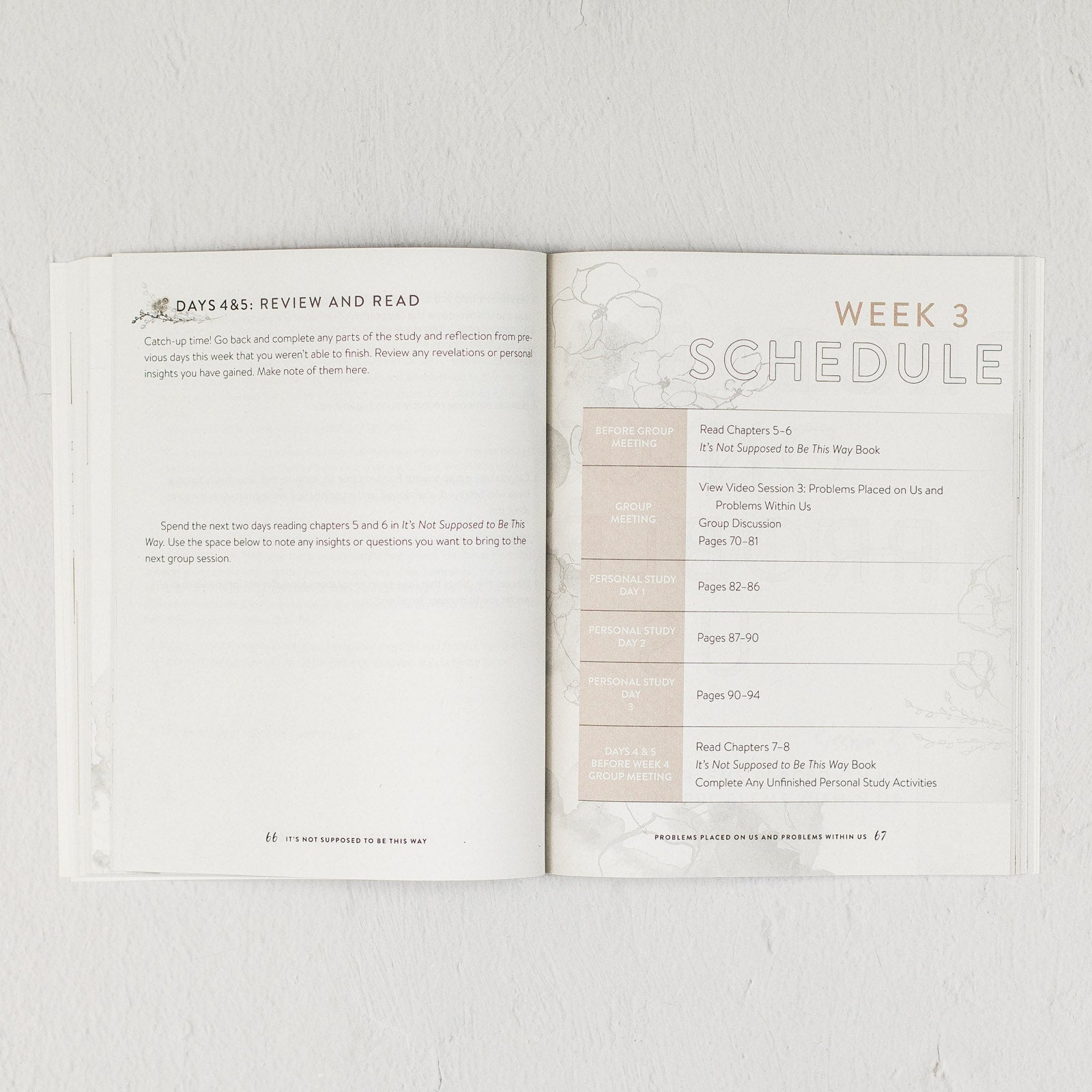 It's Not Supposed to Be This Way Study Guide + Streaming Video