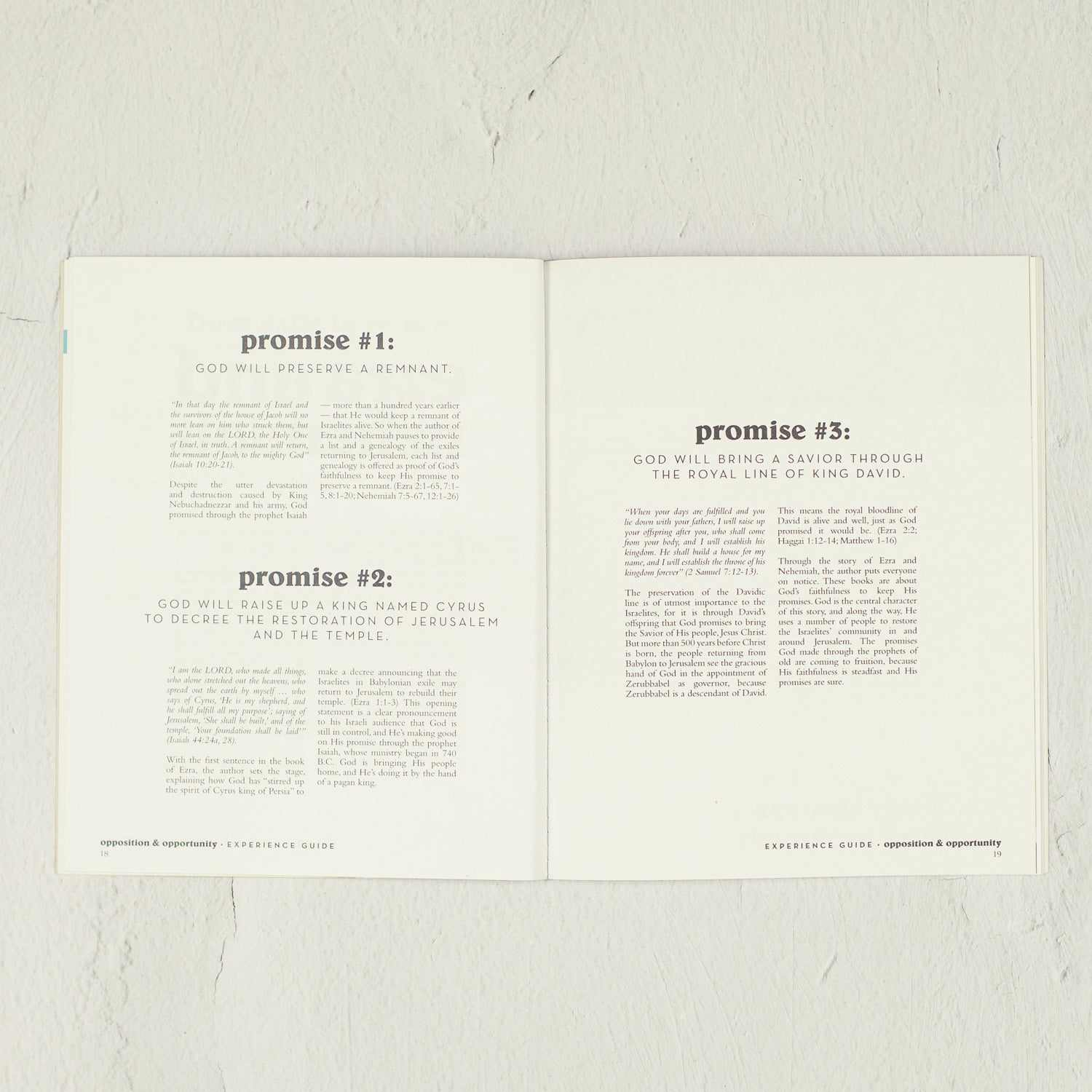 Opposition & Opportunity Experience Guide