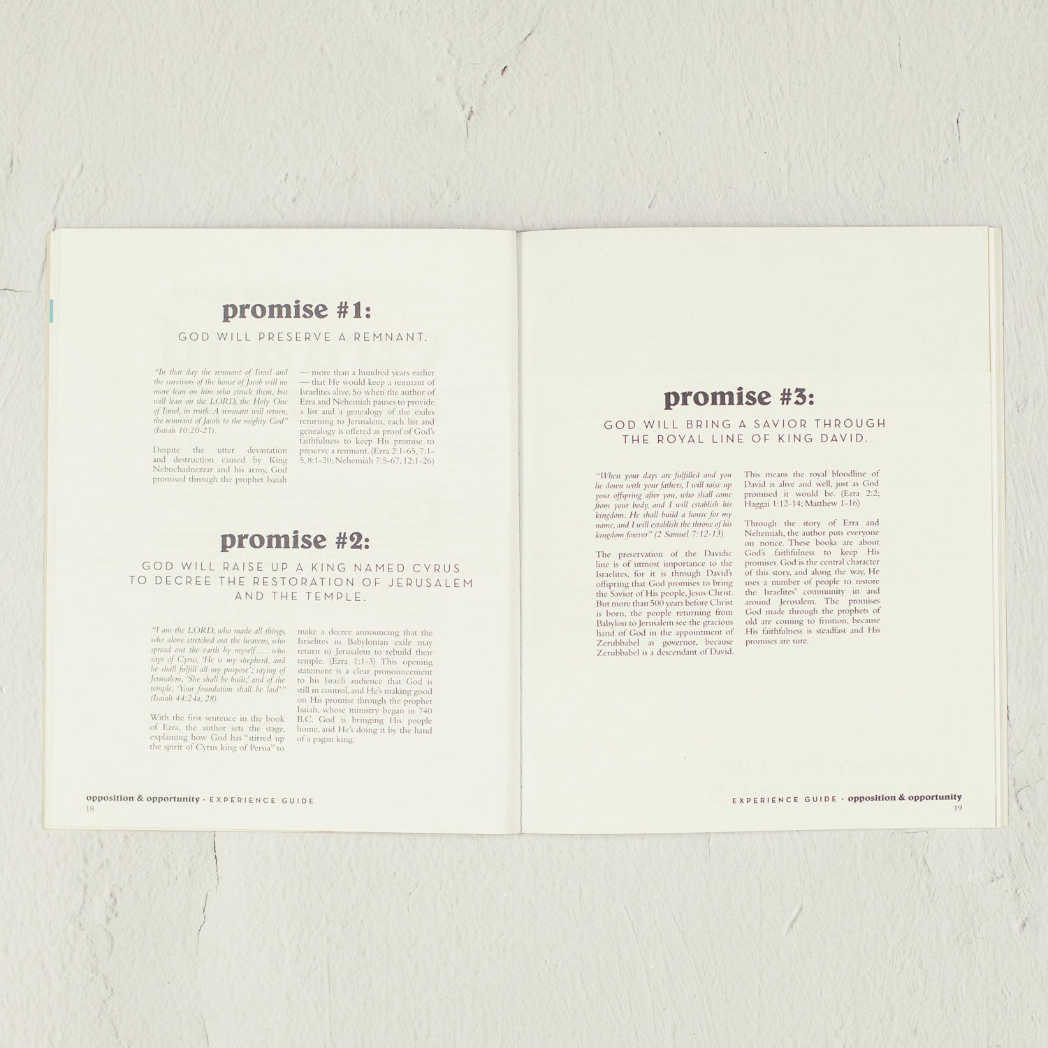 Opposition & Opportunity Experience Guide