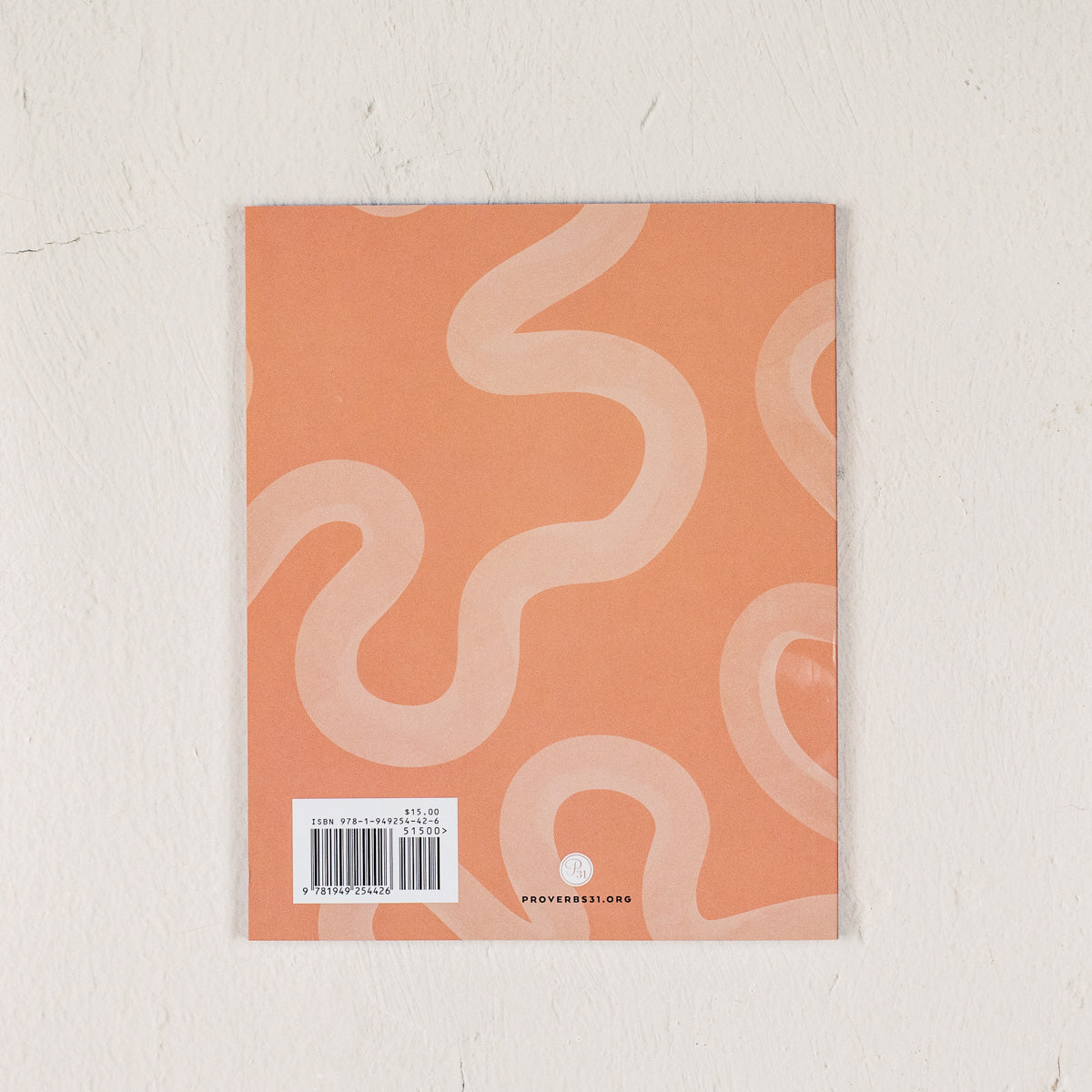 What a Mess: A Study of the Book of Judges