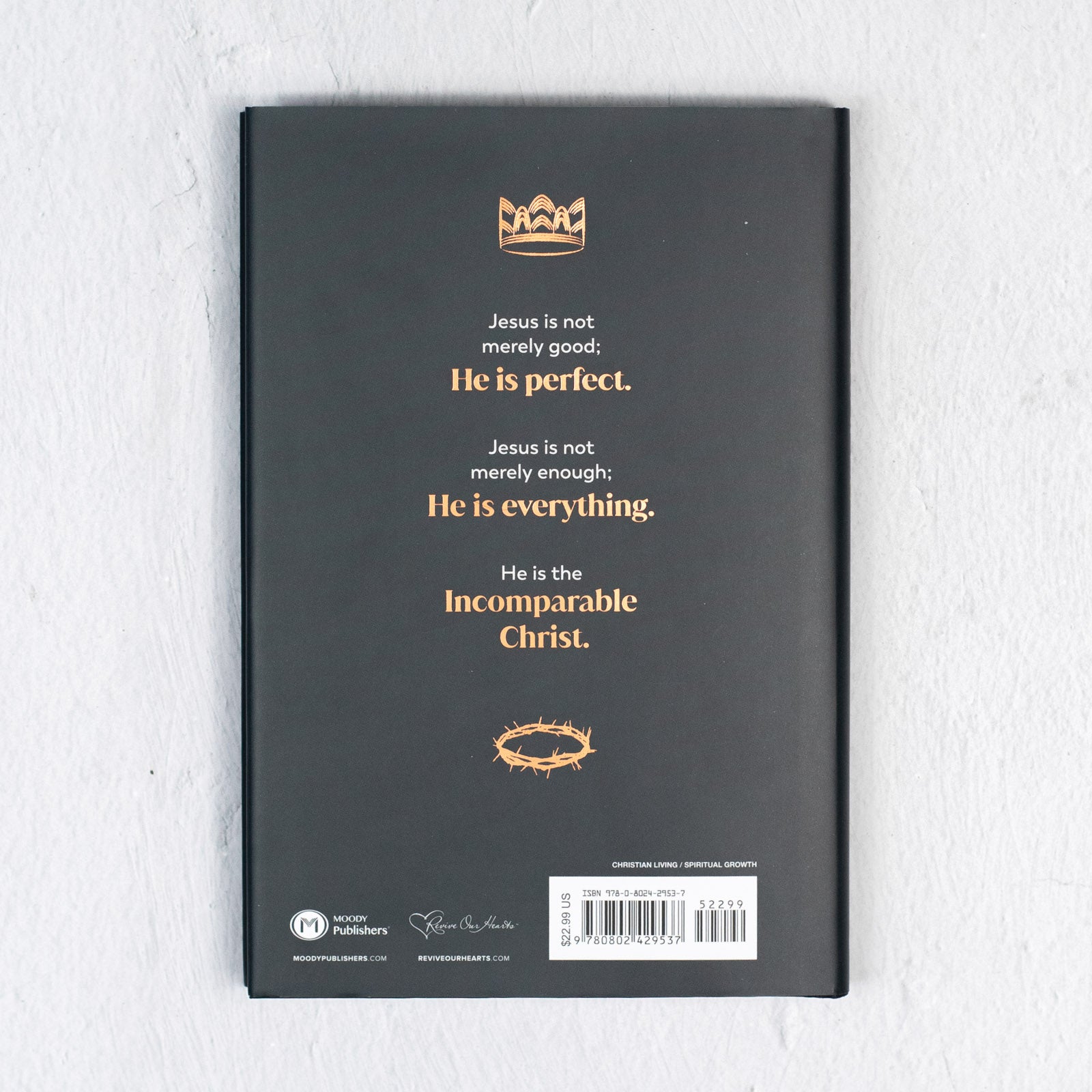 The Incomparable Owner Incomparable – P31 Bookstore