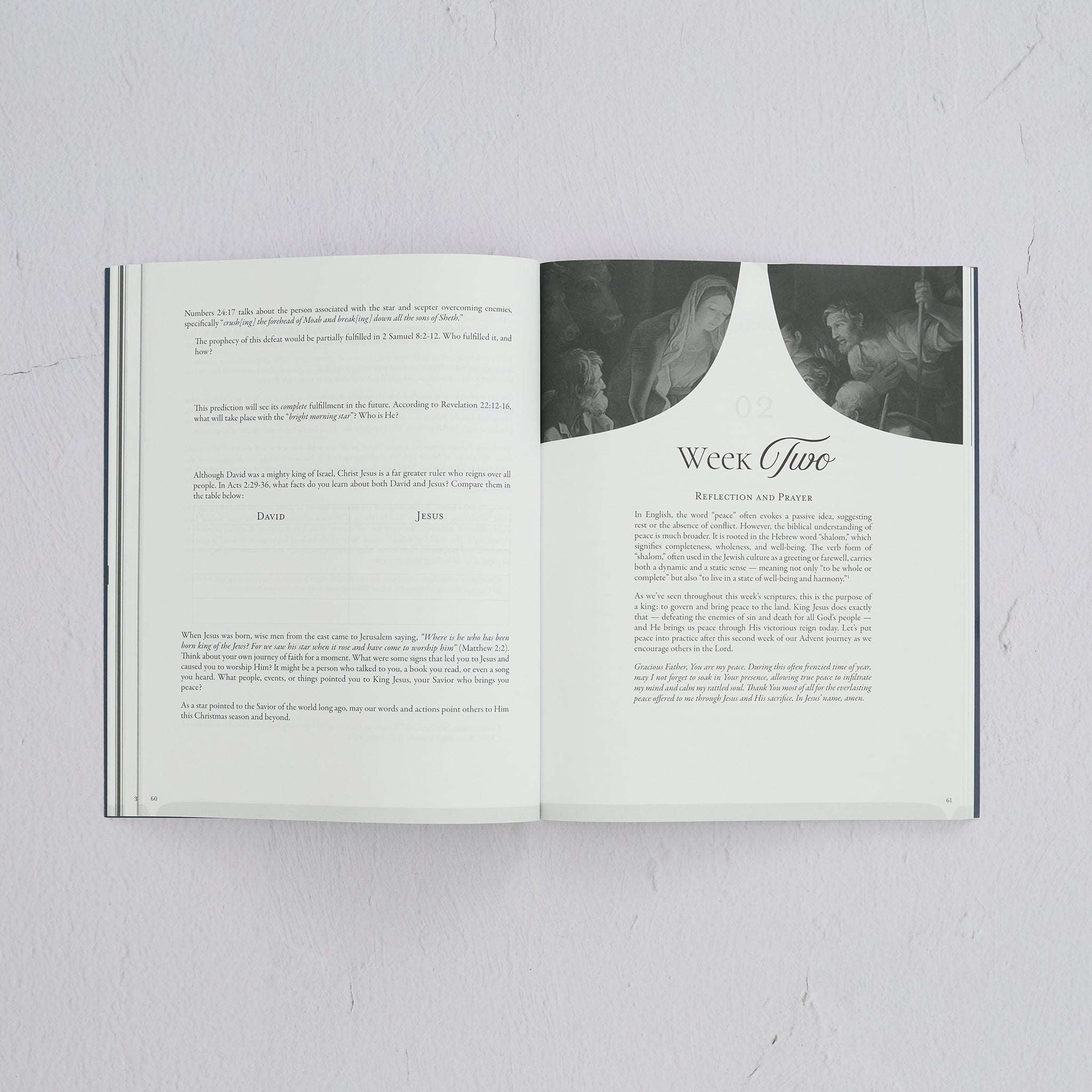 More Than a Manger: An Advent Study