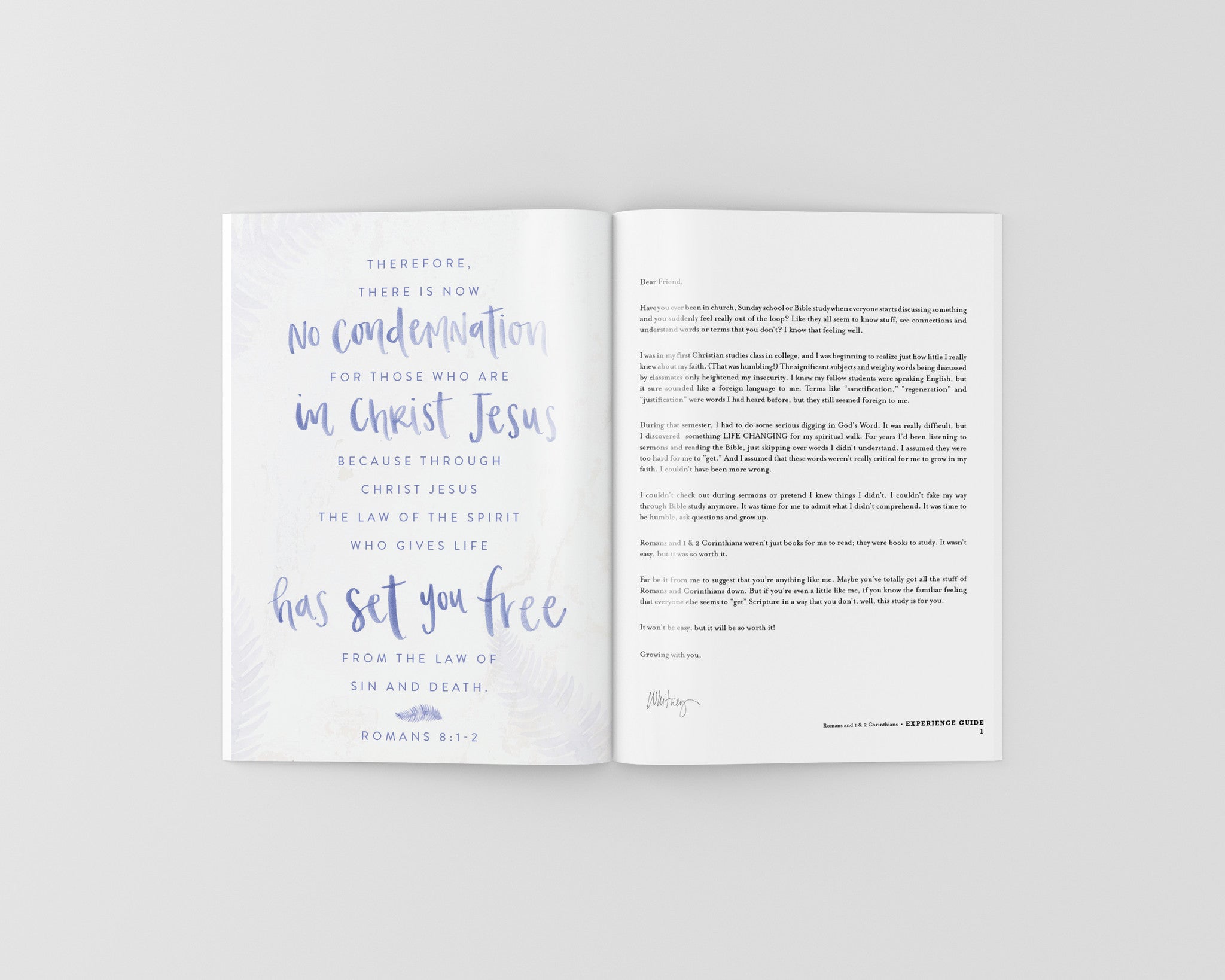 The Books of Romans and 1 & 2 Corinthians Experience Guide (DIGITAL VERSION)