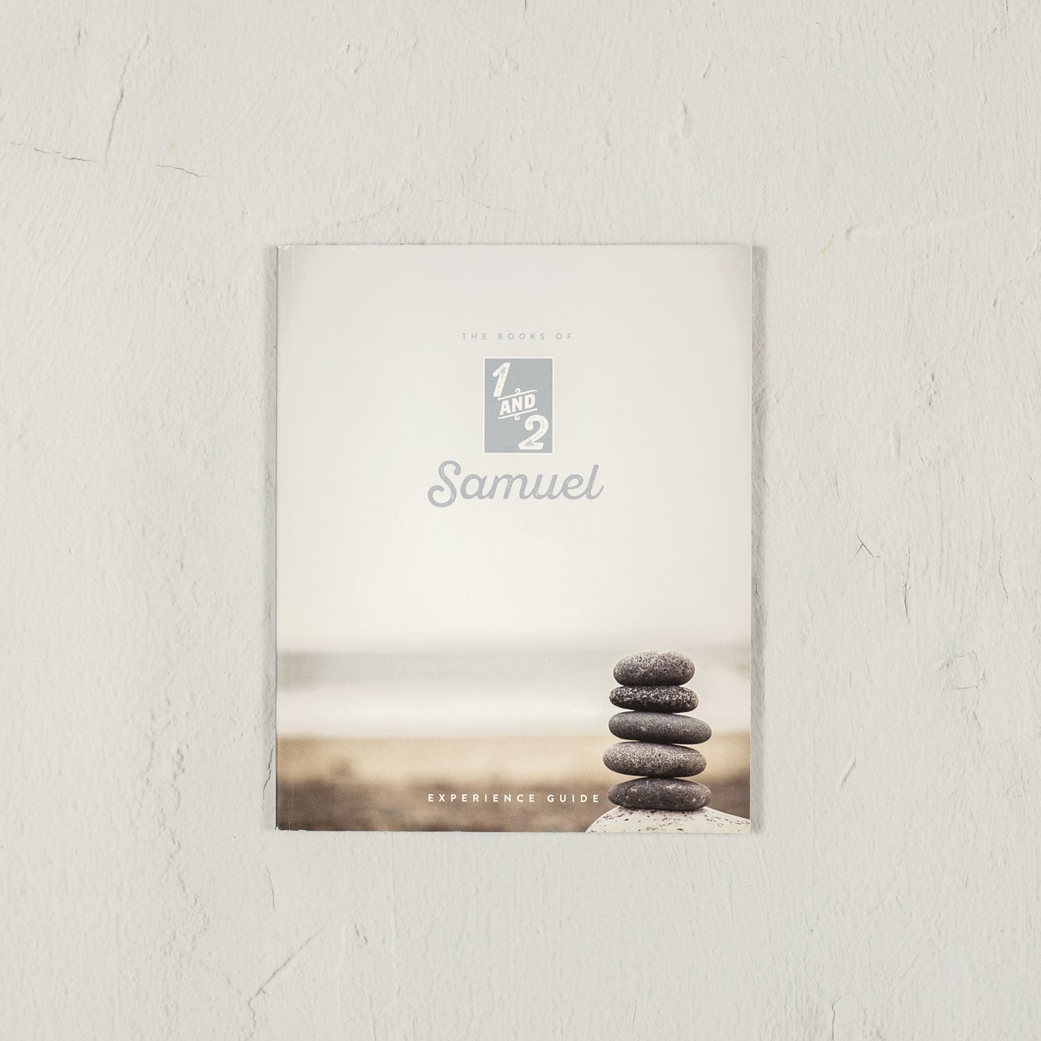 The Books of 1 & 2 Samuel Experience Guide