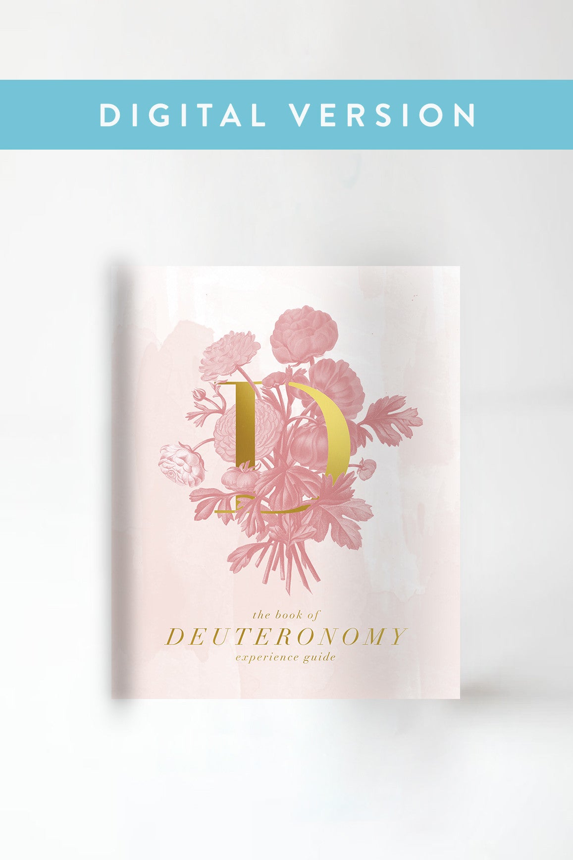 The Book of Deuteronomy Experience Guide (DIGITAL VERSION)