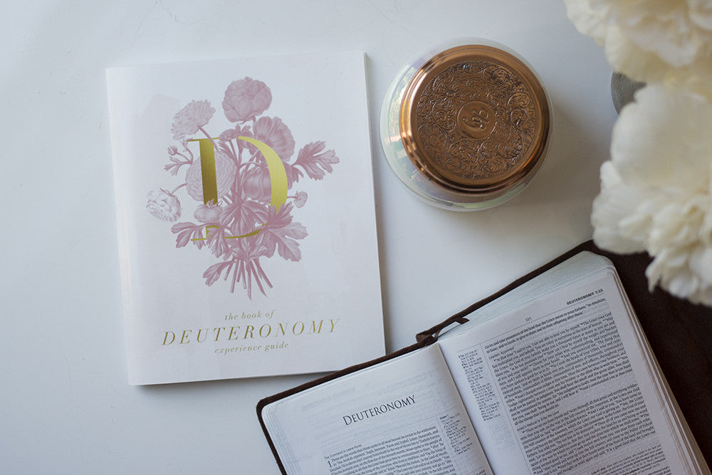 The Book of Deuteronomy Experience Guide (DIGITAL VERSION)