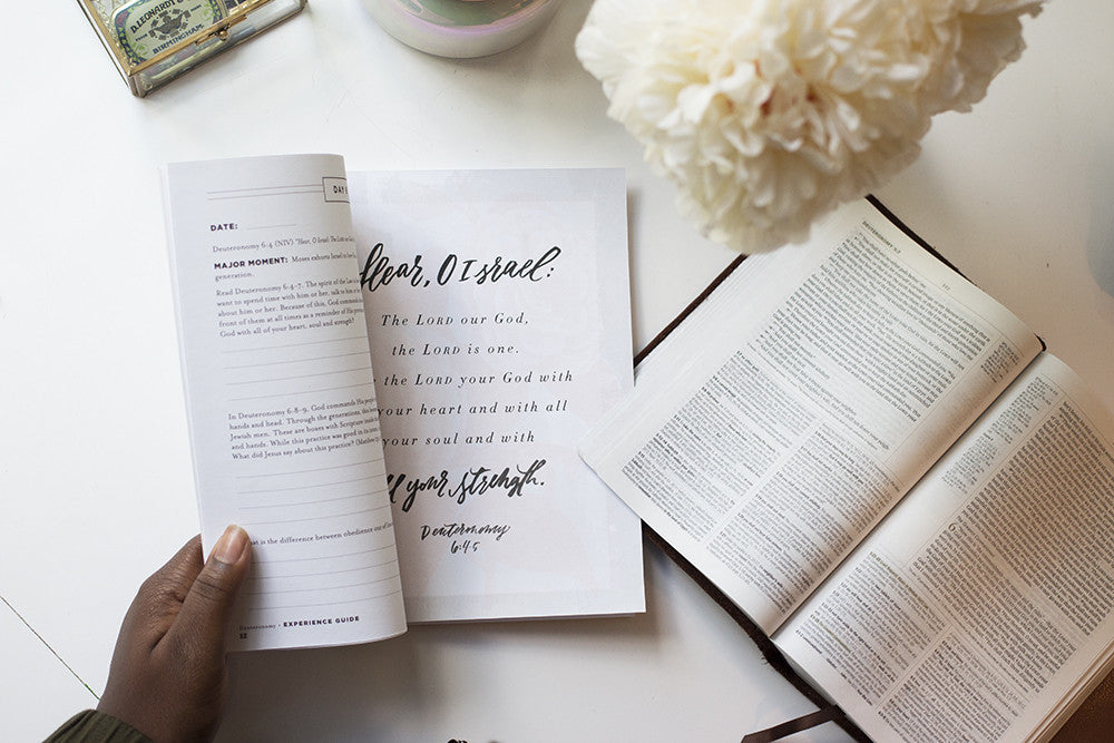The Book of Deuteronomy Experience Guide (DIGITAL VERSION)