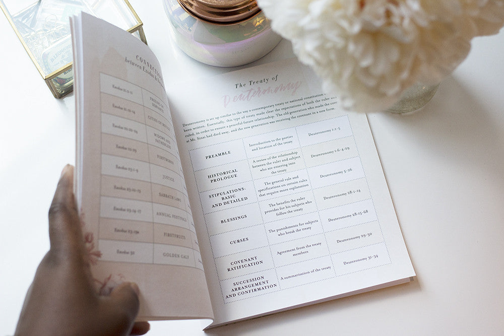 The Book of Deuteronomy Experience Guide (DIGITAL VERSION)