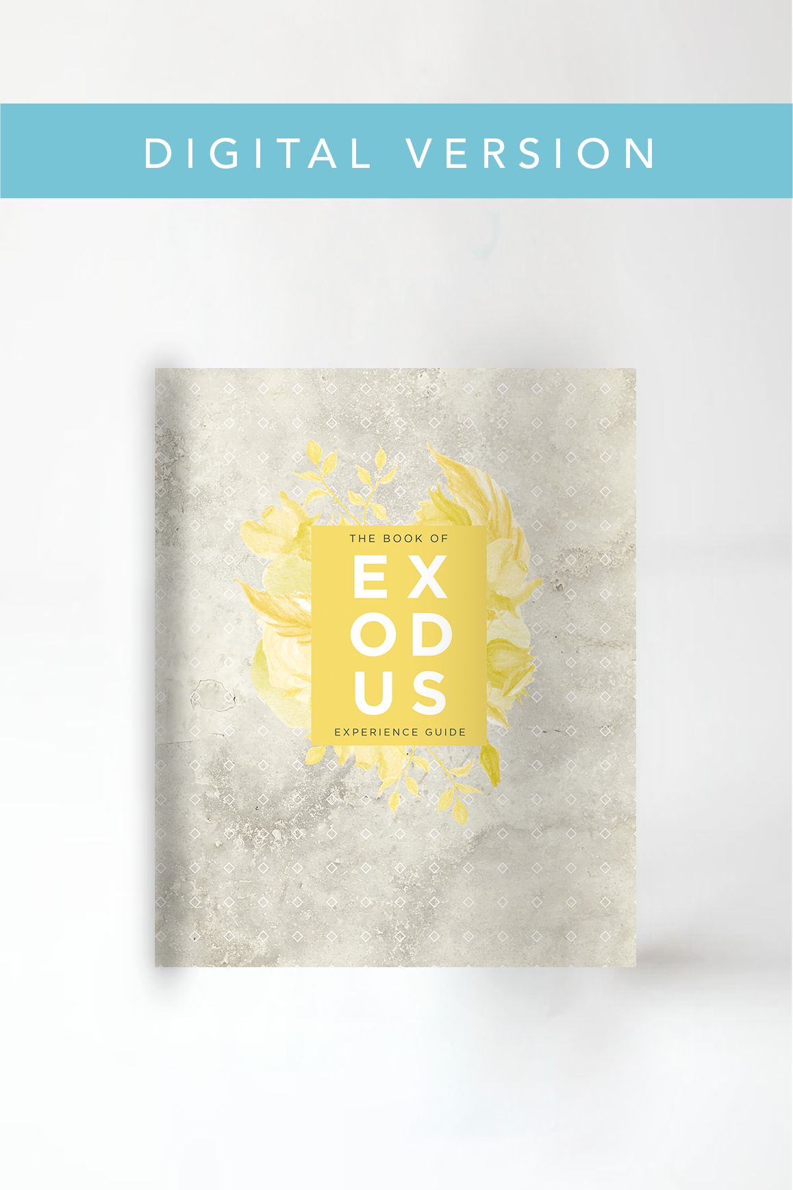 The Book of Exodus Experience Guide (DIGITAL VERSION)
