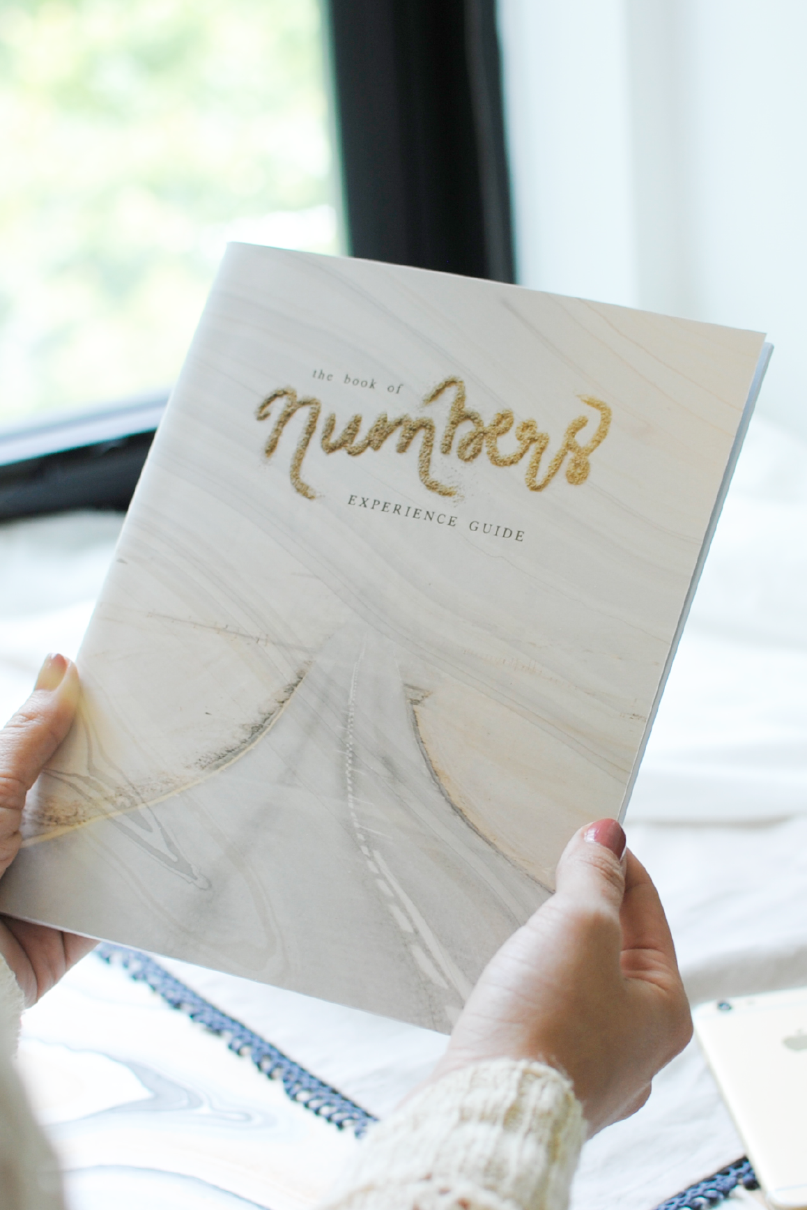 The Book of Numbers Experience Guide (DIGITAL VERSION)
