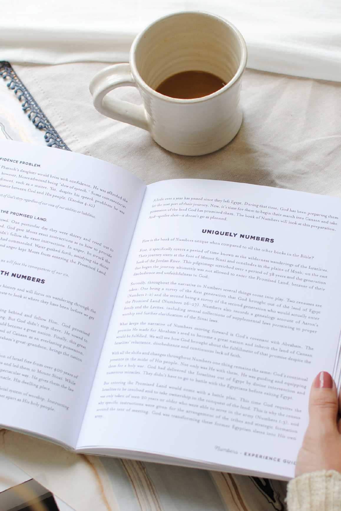 The Book of Numbers Experience Guide (DIGITAL VERSION)