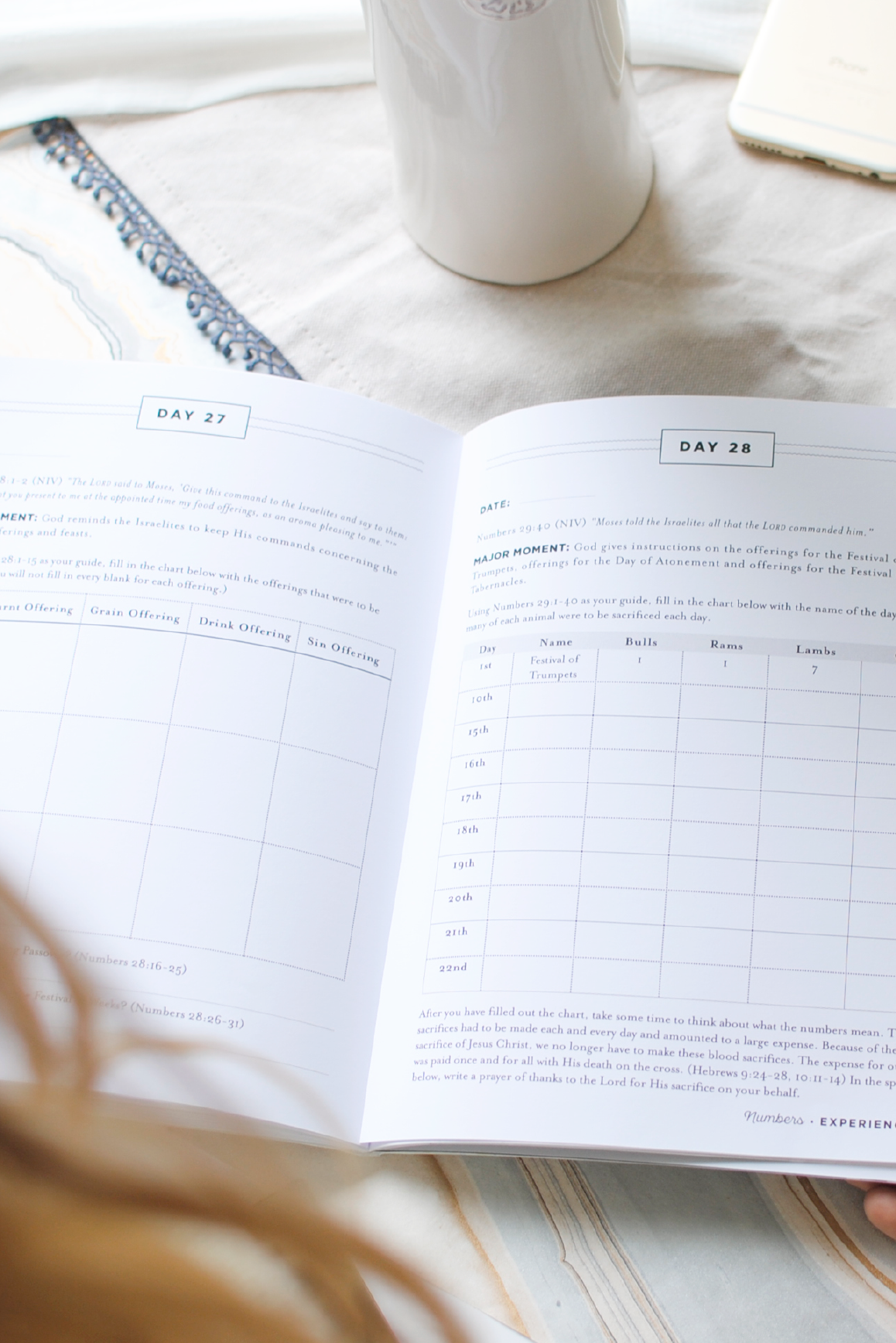 The Book of Numbers Experience Guide (DIGITAL VERSION)