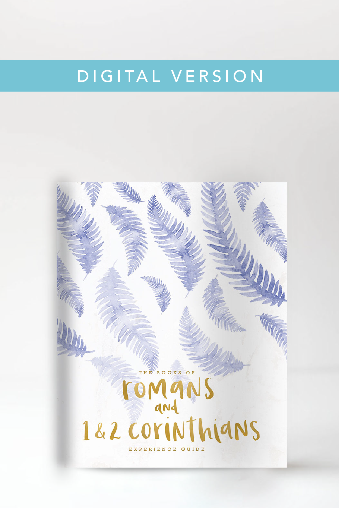 The Books of Romans and 1 & 2 Corinthians Experience Guide (DIGITAL VERSION)