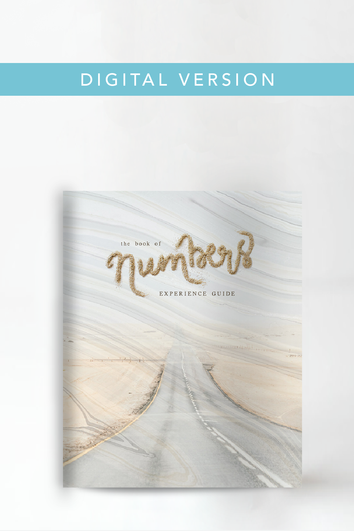 The Book of Numbers Experience Guide (DIGITAL VERSION)