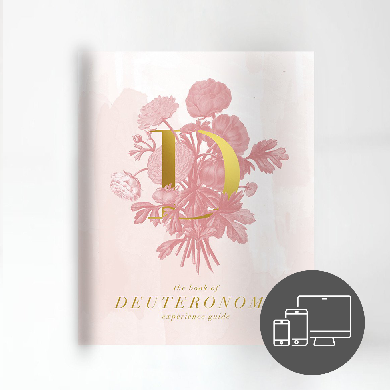 The Book of Deuteronomy Experience Guide (DIGITAL VERSION)