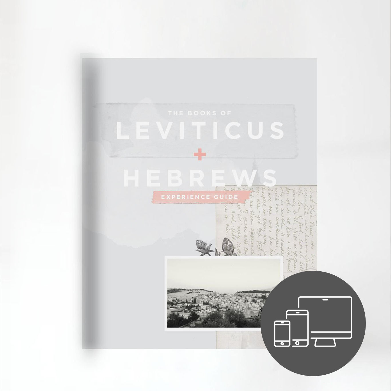 The Books of Leviticus and Hebrews Experience Guide (DIGITAL VERSION)