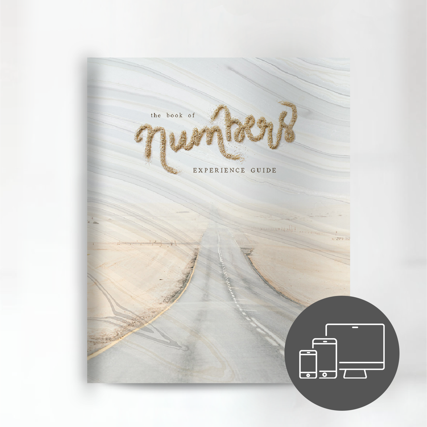 The Book of Numbers Experience Guide (DIGITAL VERSION)