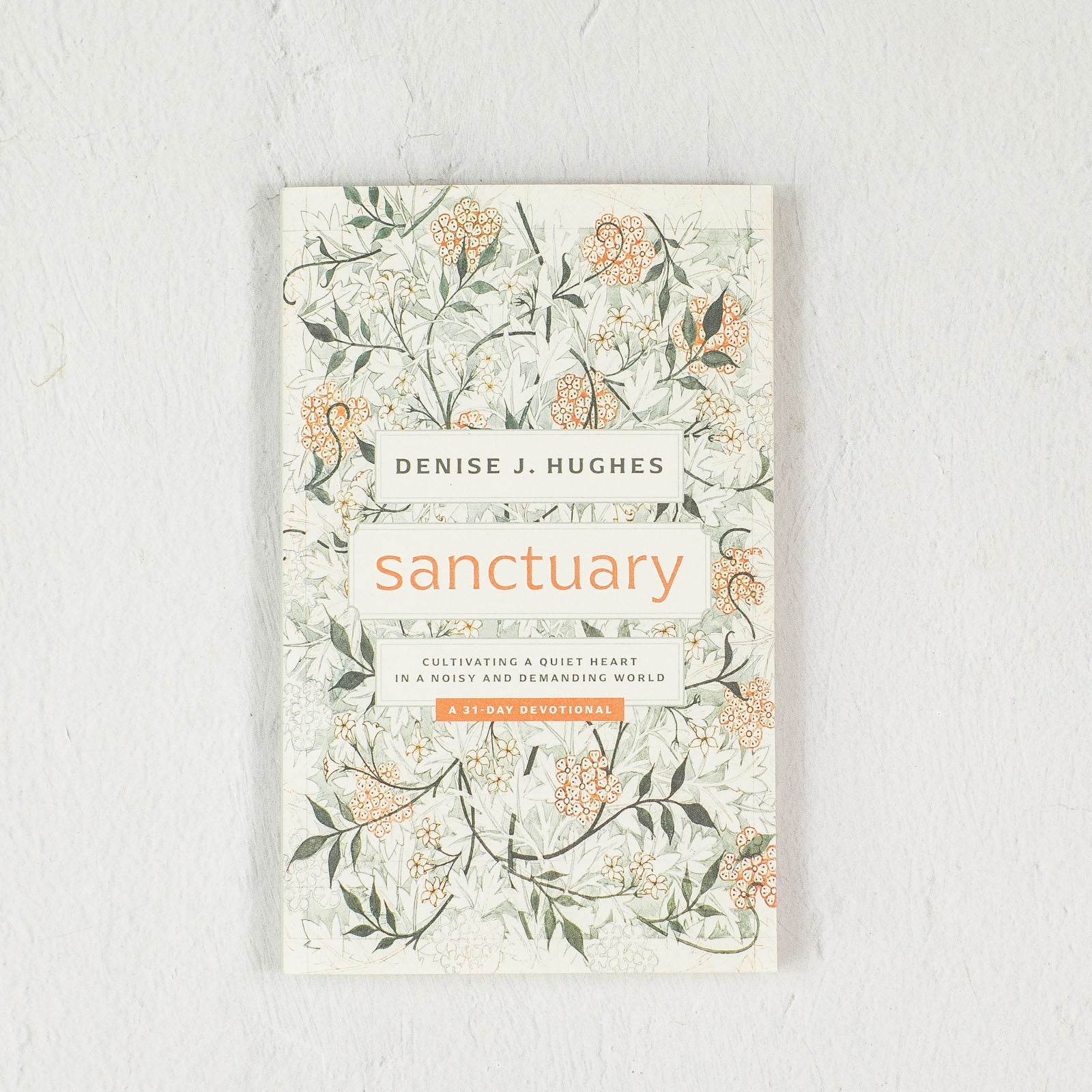 Sanctuary: Cultivating a Quiet Heart in a Noisy and Demanding World