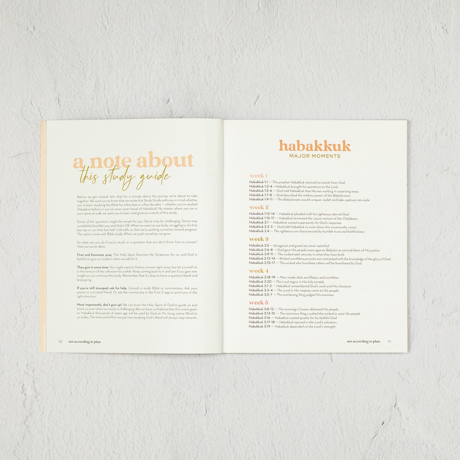 Not According to Plan: A Habakkuk Study Guide