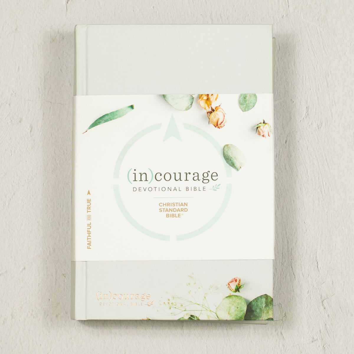 CSB (in)courage Devotional Bible