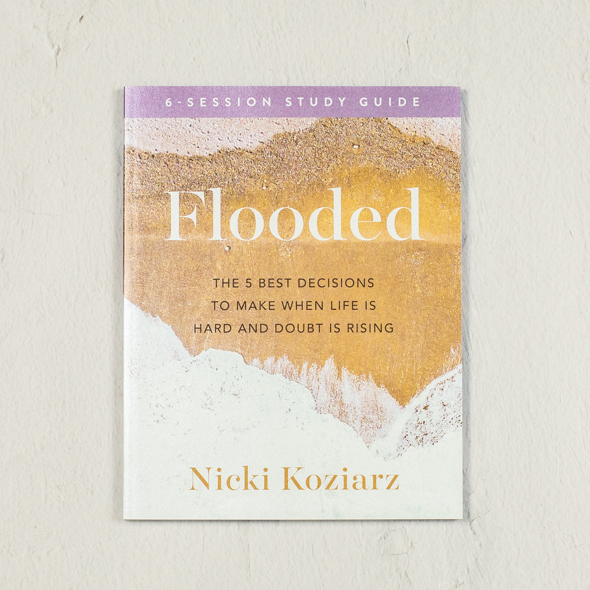 Flooded Study Guide by Nicki Koziarz