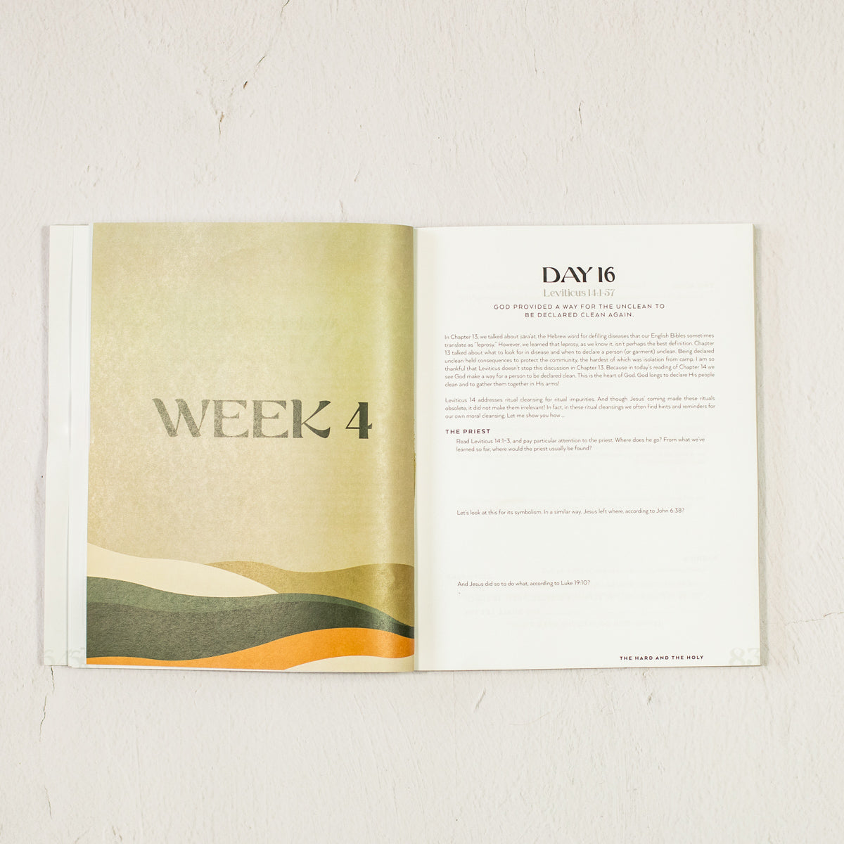 The Hard and the Holy: What the Book of Leviticus Means for Today