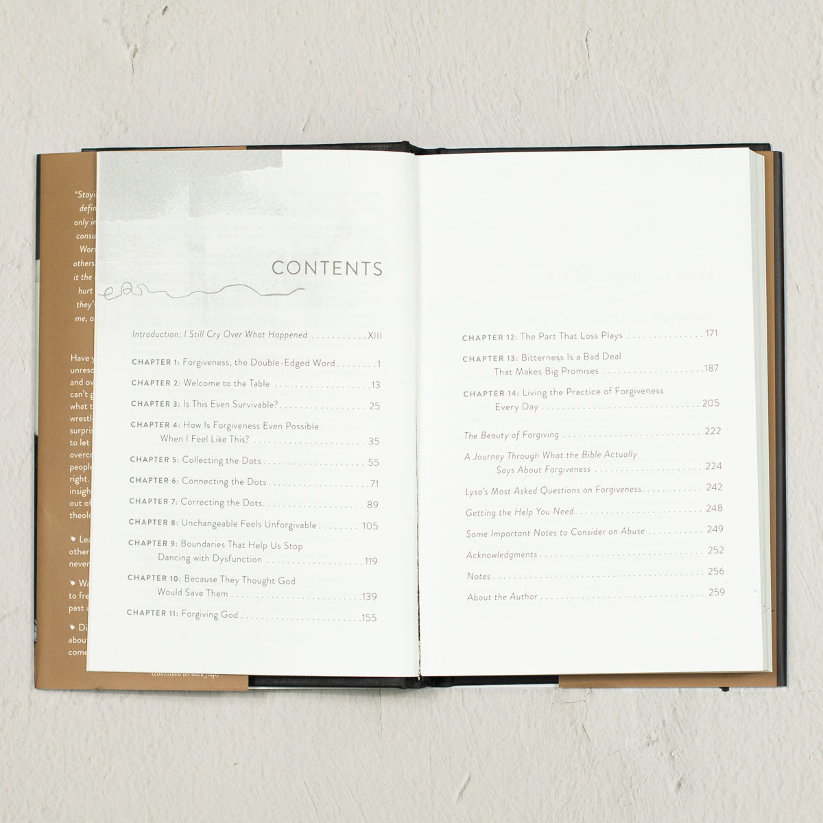 Lysa TerKeurst Bestseller Bundle